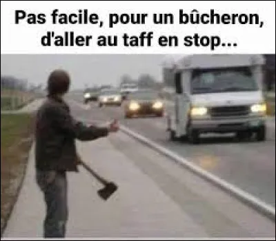 Quelle partie d'arbre est dans une expression évoquant un sommeil profond ?