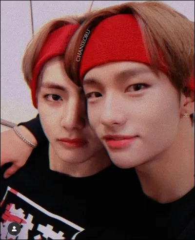 Enfin, lequel de ces fandoms t'attire le plus ?