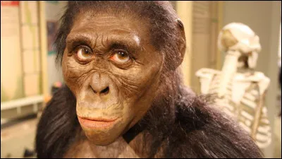 Comment surnomme-t-on la première femme préhistorique ?