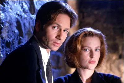Dans quelle autre série David Duchovny a-t-il joué après "X-Files" ?