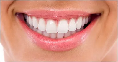 En comptant celles de sagesse, combien un adulte a-t-il de dents ?