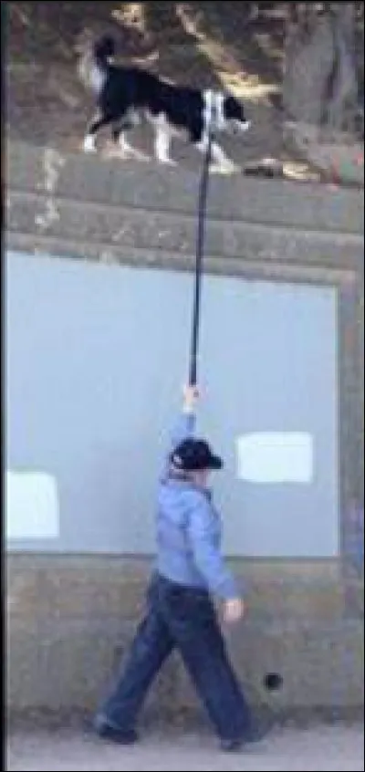 Est-ce un photomontage ?