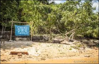 Qui es-tu sur le camp ?