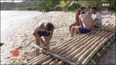 L'épreuve du radeau approche, des rondins de bois et des cordes sont disposés sur le sable à côté du campement. Que fais-tu ?