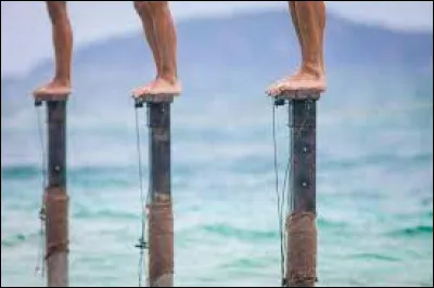 Par miracle, tu as réussi à faire partie des 3 finalistes. En ce matin calme, l'épreuve ultime des poteaux va débuter. Combien de temps penses-tu tenir sur ton poteau ?