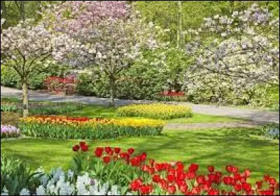 Quand es-tu né ? (2)