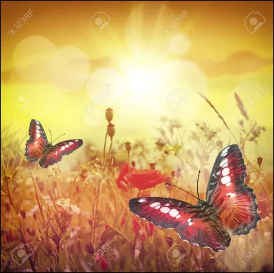 Entre quels mois ton signe est-il ? (3)