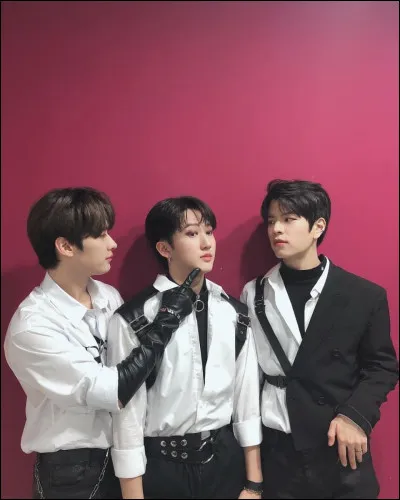 Quel est ton style de gar&ccedil;on ?