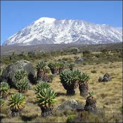 Le pays où se trouve le mont Kilimandjaro est la Tanzanie.