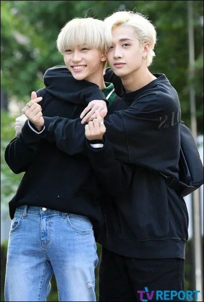 Qui est l'ancien membre des Stray Kids ?