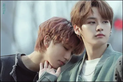 Qui est le visuel du groupe ?