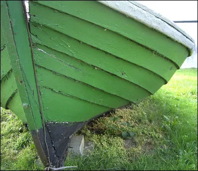 À qui doit-on, en 1958, un pinceau vivant ?