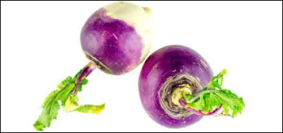 Le philosophe Bernard-Henri Lévy est le seul réalisateur à avoir deux films classés parmi les 100 « pires films de tous les temps », liste établie par le site Allociné à partir des avis des spectateurs