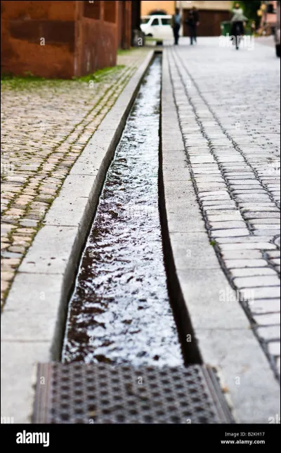 Combien y a-t-il de kilomètres de rigoles à Fribourg ?