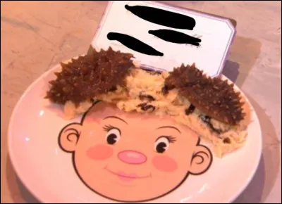 De quel plat sagit-il ?