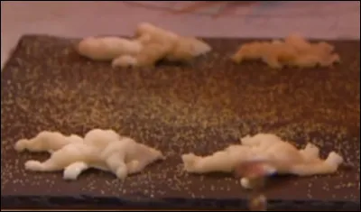 De quel plat sagit-il ?