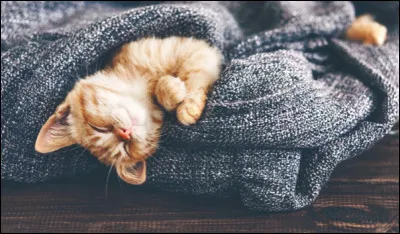 O&ugrave; aimerais-tu dormir ?