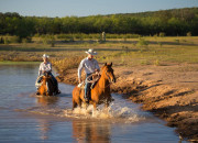 Quiz Les diffrents hbergements des chevaux