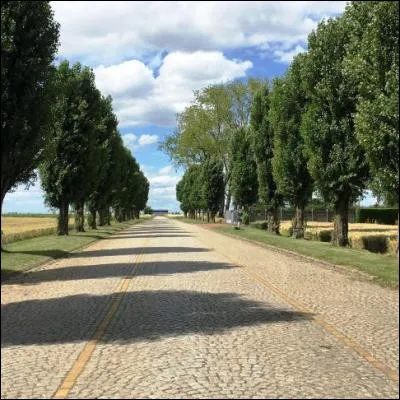 Quel élément signalétique sest généralisé en France à partir de 1745 avec une taille de 1m30 et orné dune fleur de lys ?