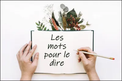 Arrivé au collège, un élève de la classe en dessous de la tienne vient te parler. Que fais-tu ?