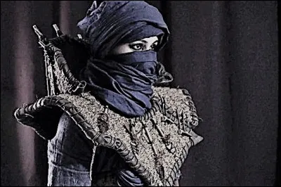 Reine des Sarrasins au IVe siècle. Restée veuve à la fleur de son âge, elle prit elle-même le commandement de son armée et devint la terreur de l'empire romain. Qui est-elle ?