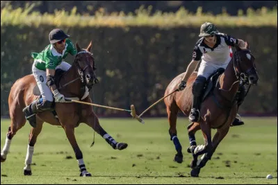 Quel est le nom de ce sport à cheval ?