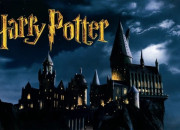 Test Quel mtier hors du commun ''Harry Potter'' pourrais-tu exercer ?