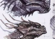 Test Quelle image de dragon es-tu ?