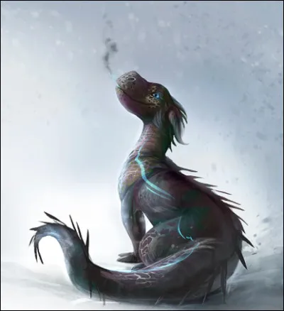 Tu voudrais que ton dragon ait une qualit&eacute;. Laquelle ?