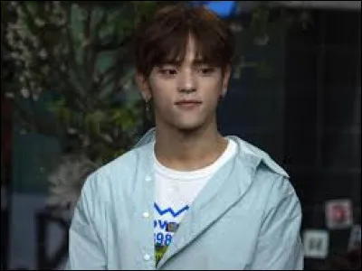Pourquoi Woojin a-t-il quitté Stray Kids ?