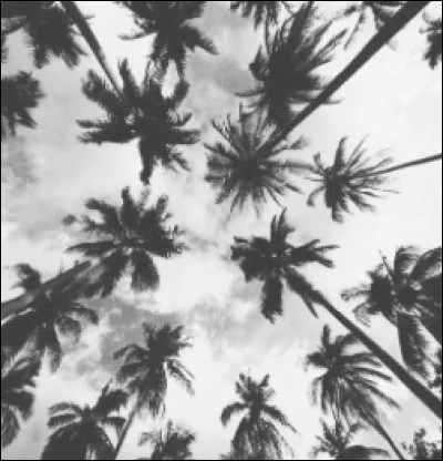 Quelle est la taille parfaite de ton &eacute;cran ?