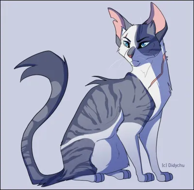 Qui est cette chatte ?