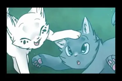 Qui est la chatte blanche ?