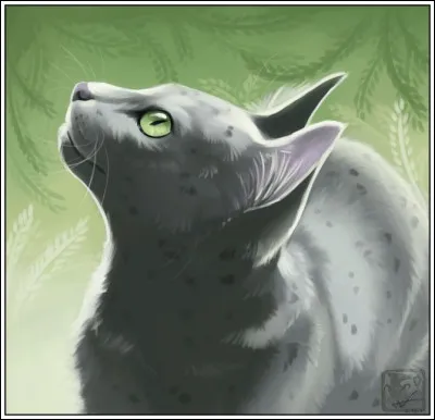 Qui est cette chatte ?