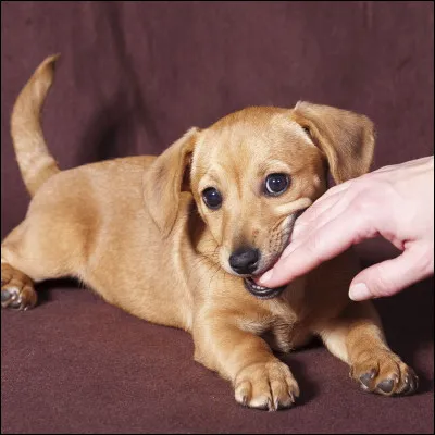 Êtes-vous patient ?