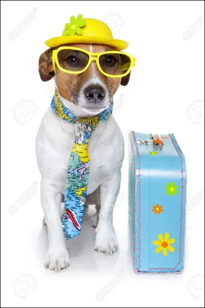 Souhaitez-vous avoir une race "tendance", que tout le monde veut ?