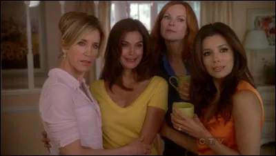 Choisissez un défaut que vous possédez :