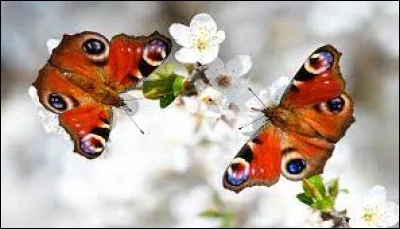 Dans l'ordre, quel est le 6e jour de la semaine ?