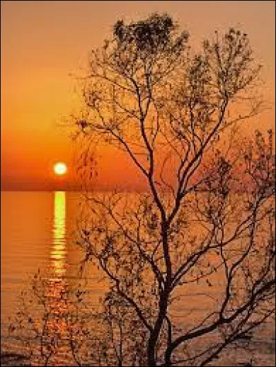 Quel groupe a chanté "Le jour s'est levé" dans les années 80 ?