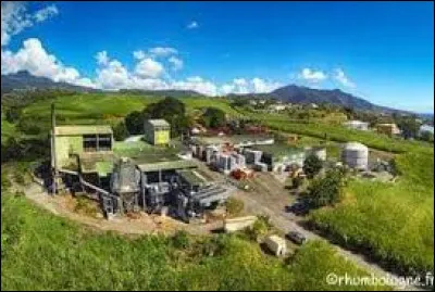 Économie : quelle distillerie ne se trouve pas en Guadeloupe ?