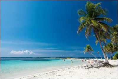 Personnalité : laquelle de ces personnalités n'est pas née en Guadeloupe ?