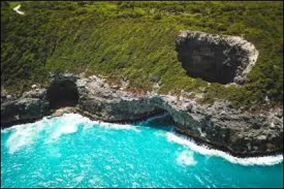 Insolite : quel fruit a été découvert en Guadeloupe en 1493 par Christophe Colomb ?