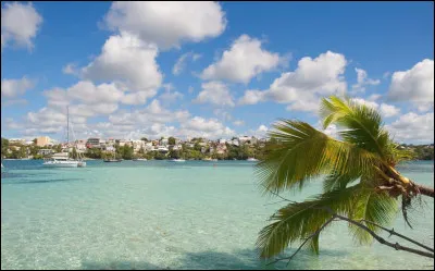 Culture : lequel n'est pas un mot issu du créole guadeloupéen ?