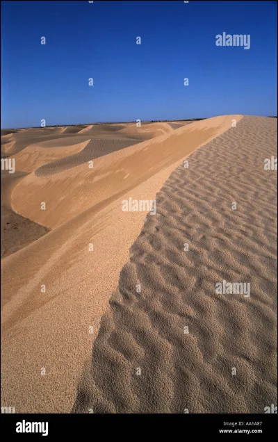 Comment sappelait la reine des Ailes de Sable, la mère de Fournaise, Fièvre et Flamme ?