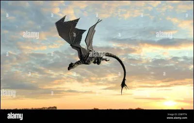 Comment s'appellent les dragonnets du destin ?