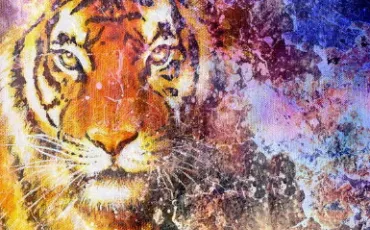 Quiz Animaux