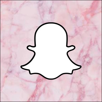 À quelle application permettant de prendre des photos amusantes avec des filtres ce logo appartient-il ?