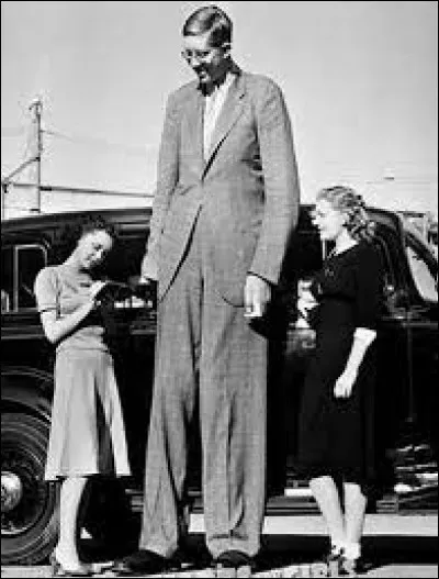 Quelle est la taille maximale jamais atteinte par un homme à ce jour officiellement ?