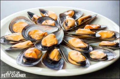 Quelles sont les moules les plus grosses ?