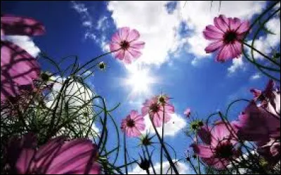 À qui doit-on ce célèbre proverbe : "Aide-toi, le ciel t'aidera" ?